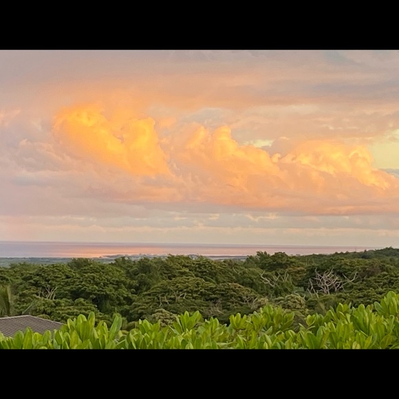 Meet your Posher, Dominique - Picture 1 of 1